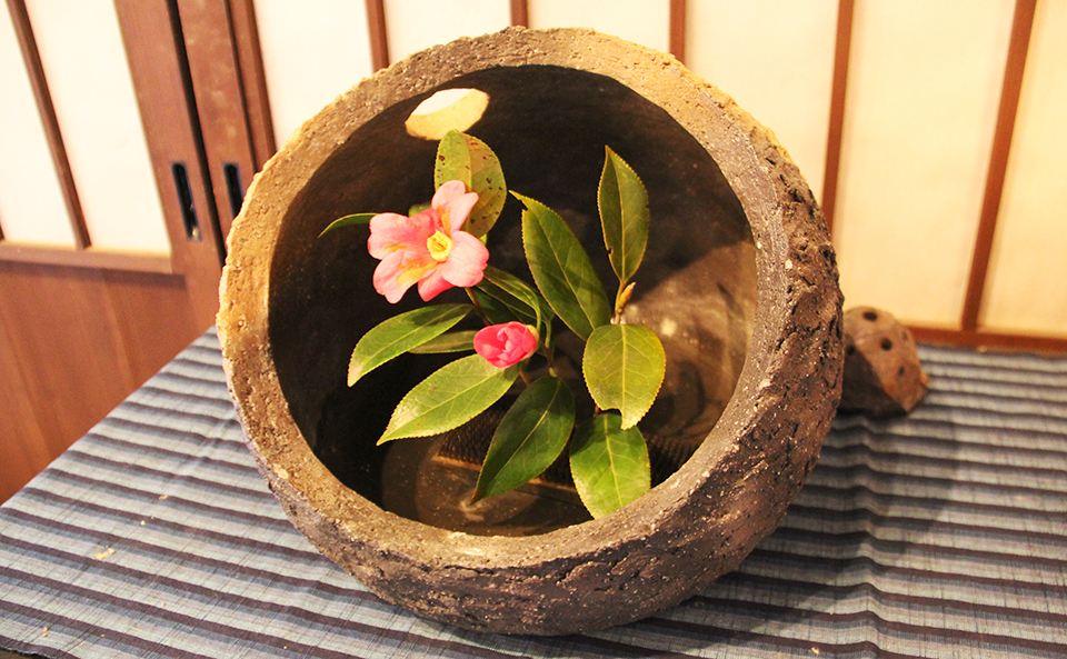 成竹窯にも春がやってきました。