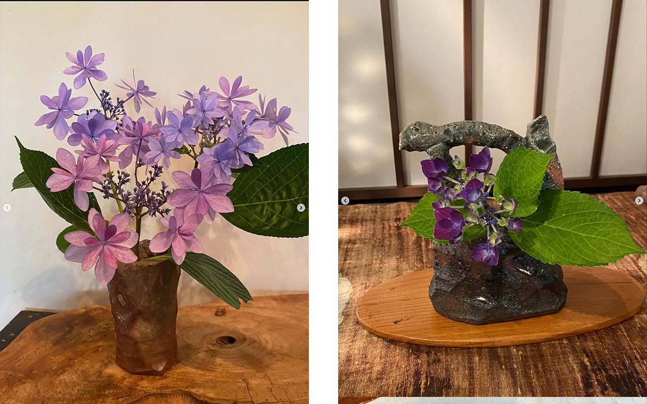 紫陽花に癒されて。成竹窯の花器と楽しむ初夏の彩り