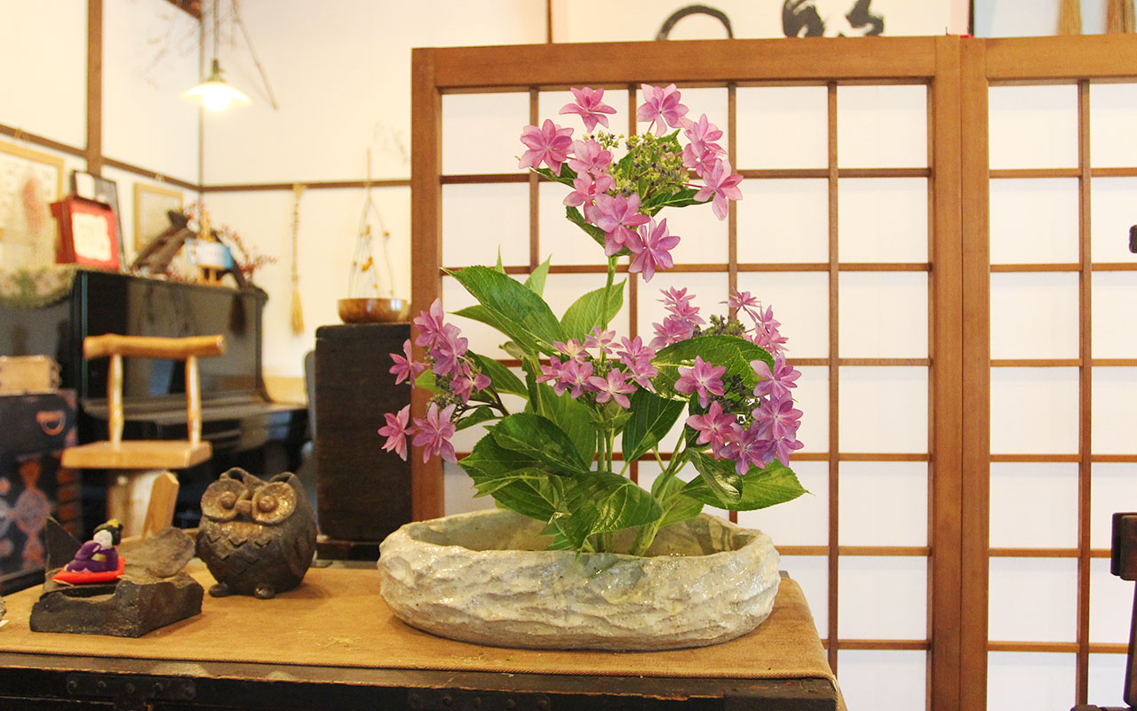 成竹窯にも綺麗な紫陽花が咲き始めました。